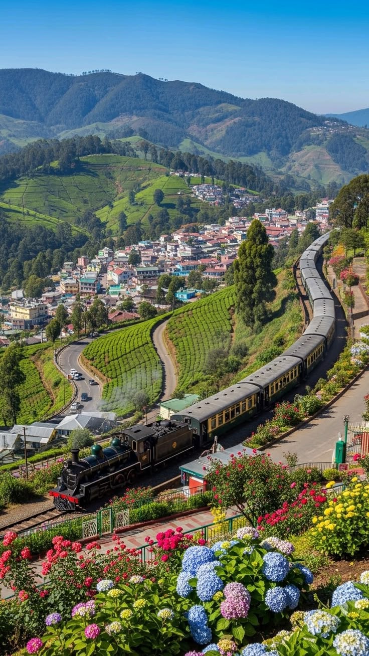 Ooty Valley Landscape